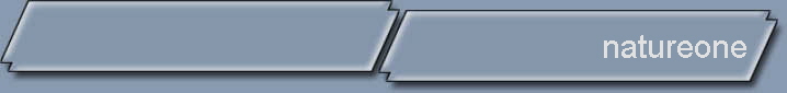 natureone